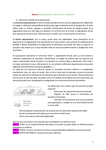 Tema-1-Organizacion-estructura-y-ambiente.pdf