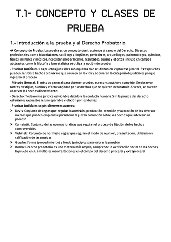 T.1-CONCEPTO-Y-CLASES-DE-PRUEBA.pdf