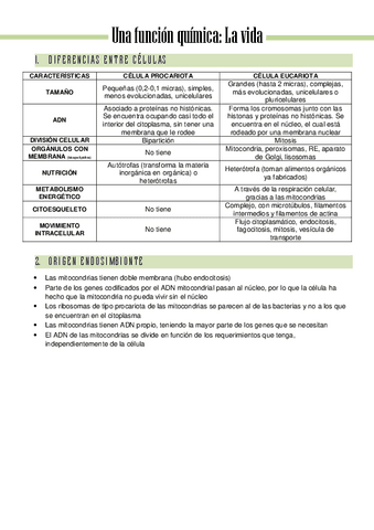 Parcial1-10.pdf