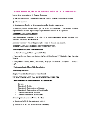 APUNTES-TEORICAS.pdf