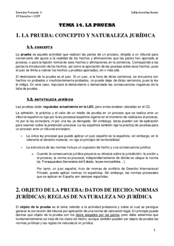 D.PROCE-II-Tema-14.pdf