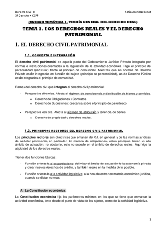 DCVL-III-Tema-1-M1-T1.pdf