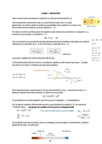 TEMA-7-MUTACION.pdf