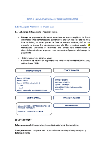 TEMA-6-PEI.pdf