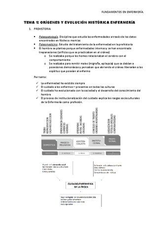Tema-1-Origenes-y-evolucion-historica-enfermeria.pdf