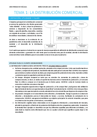 DISTRIBUCION-COMERCIAL.pdf