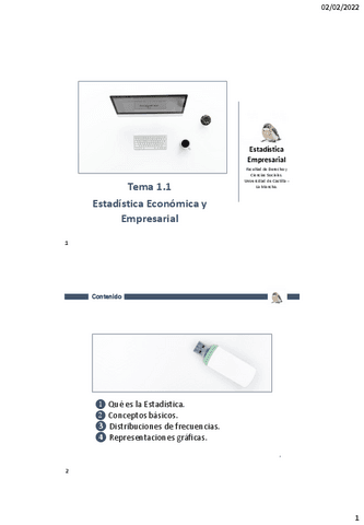 TEMA-1-Estadistica.pdf
