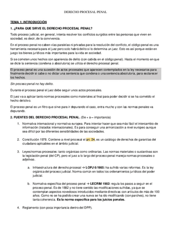APUNTES-DERECHO-PROCESAL-PENAL.pdf
