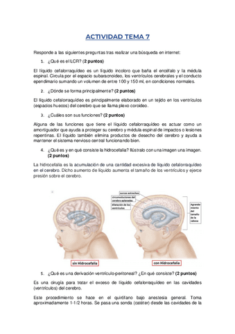 ACTIVIDAD-TEMA-7.pdf