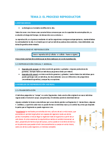 TEMA-2-EL-PROCESO-REPRODUCTOR.pdf