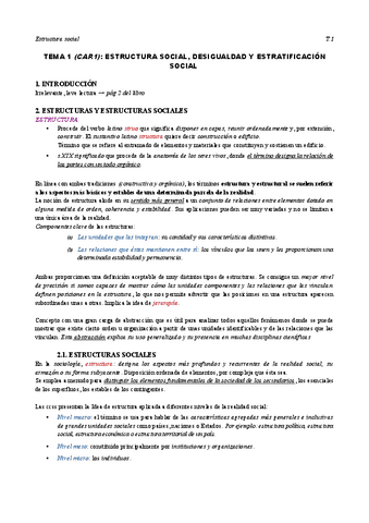 Estructura-social-T1.pdf