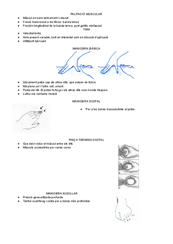 TECNICA-NEUROMUSCULAR.pdf