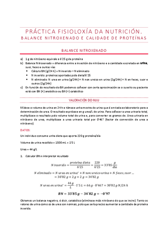 Practica-mancebo.pdf