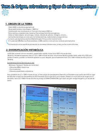 TEMA-2.pdf
