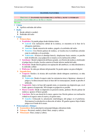 Apuntes-Anatomia-Palpatoria.pdf