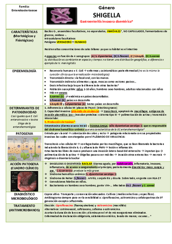 Genero-Shigella-y-Salmonella-1.pdf