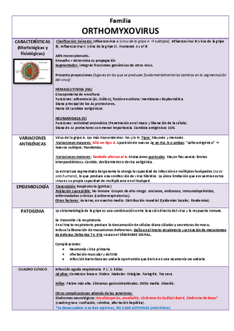 Orthomyxovrius.pdf