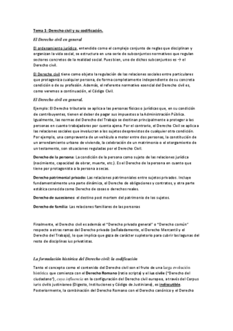 Tema-1-resumido.pdf
