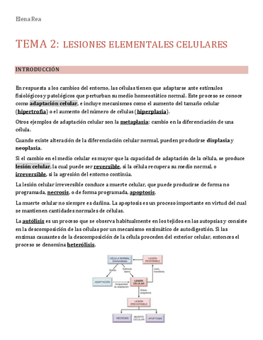 Tema-2.-Lesiones-celulares-elementales. Tema-3. -La-lesión-celular-reversible-e-irreversible.pdf