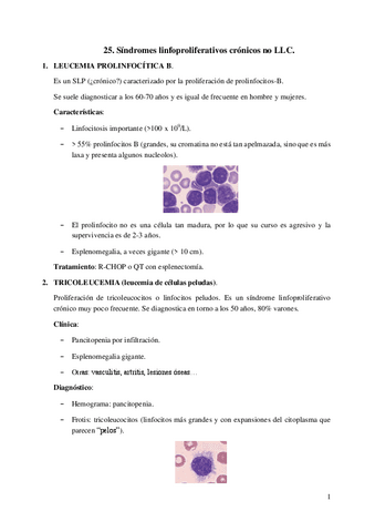 25.-Sindromes-linfoproliferativos-cronicos-no-LLC.pdf
