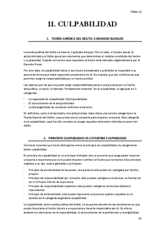 DerechoPenal2Tema11.pdf