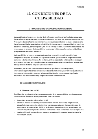 DerechoPenal2Tema12.pdf
