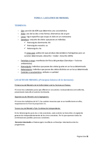 Apuntes (tema 1-11).pdf