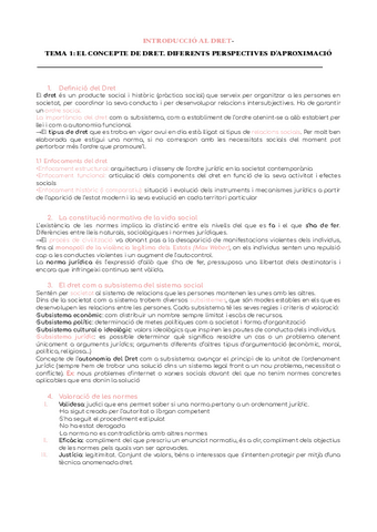 Manual-Resum-per-Temes-1-9.pdf