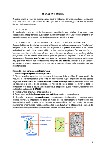 tema-3.pdf