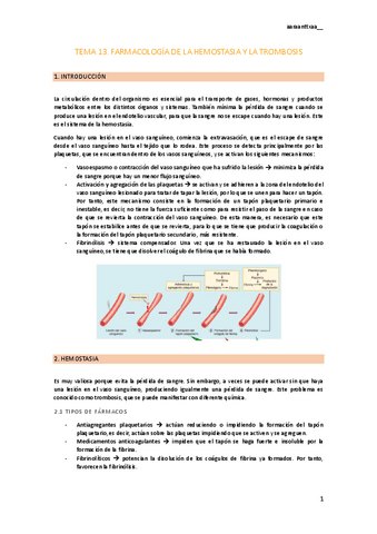 tema-13.pdf