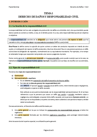 TEMA-1-Derecho-de-Danos.pdf