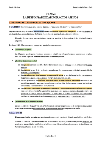TEMA-3-Derecho-de-Danos.pdf