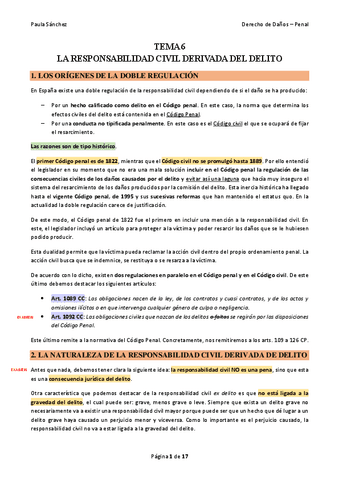 TEMA-6-Derecho-de-Danos.pdf