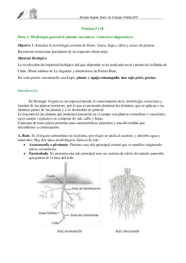 Practica I y II Biologia Vegetal_2015.pdf