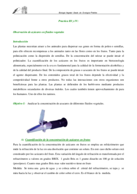 Practica III y IV Biologia Vegetal_2016.pdf