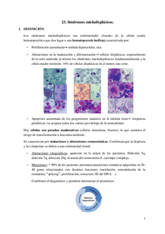 23.-Sindromes-mielodisplasicos.pdf