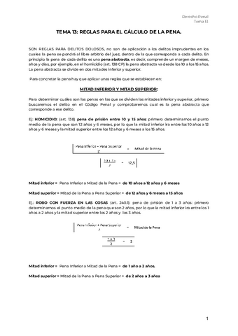 PENAL-13.pdf