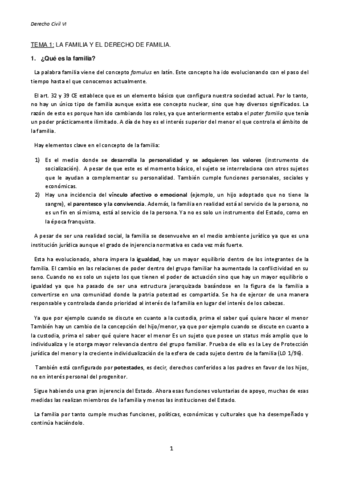 TEMA-1.pdf