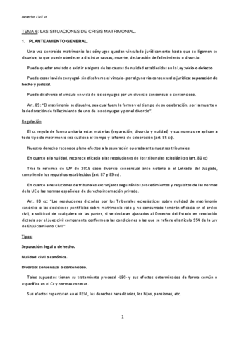 TEMA-6.pdf