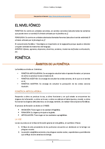 T.1 - LINGUISTICA II.pdf
