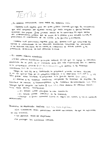 Derecho civil y patrimonialñ.pdf