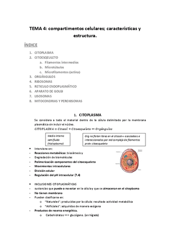 TEMA-4-compartimentos-celulares.pdf
