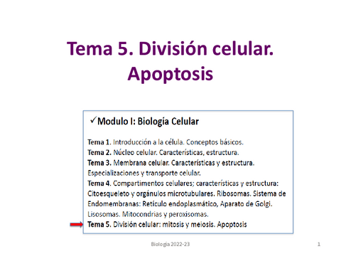 Tema-5.-Ciclo-celular.-Apoptosis-.pdf