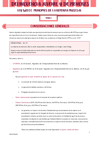 TEMA-1-PRINCIPIOS.pdf