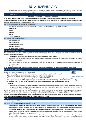 T5-ALIMENTACIO.docx.pdf