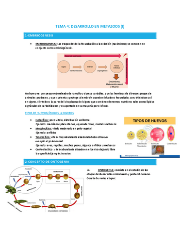 TEMA-4-DESARROLLO-EN-METAZOOS-I.pdf