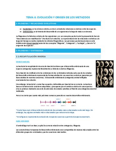 TEMA-6-EVOLUCION-Y-ORIGEN-DE-LOS-METAZOOS.pdf