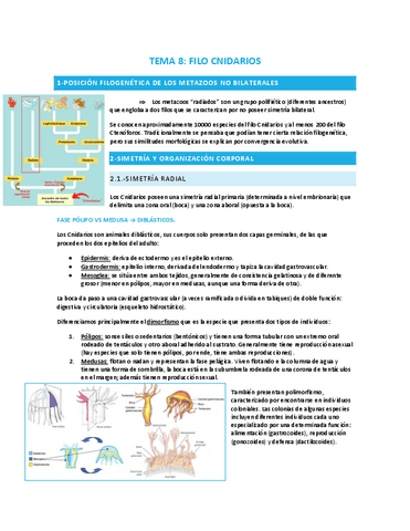 TEMA-8-filo-cnidarios.pdf