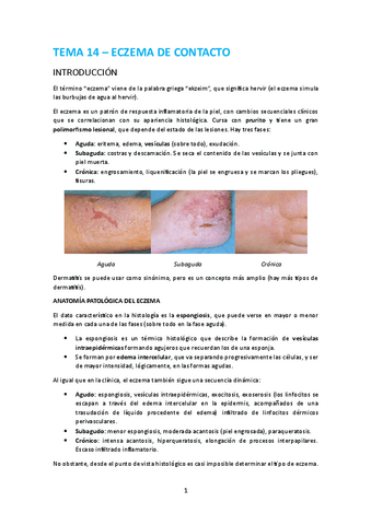 Tema-14-Eczema-de-contacto.pdf