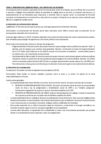 TEMA-2-PRINCIPIOS-DEL-DERECHO-PENAL.-LOS-LIMITES-DEL-IUS-PUNIENDI.pdf